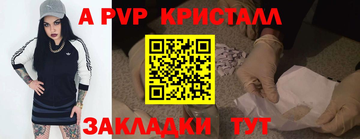 A PVP СК КРИС Великий Устюг