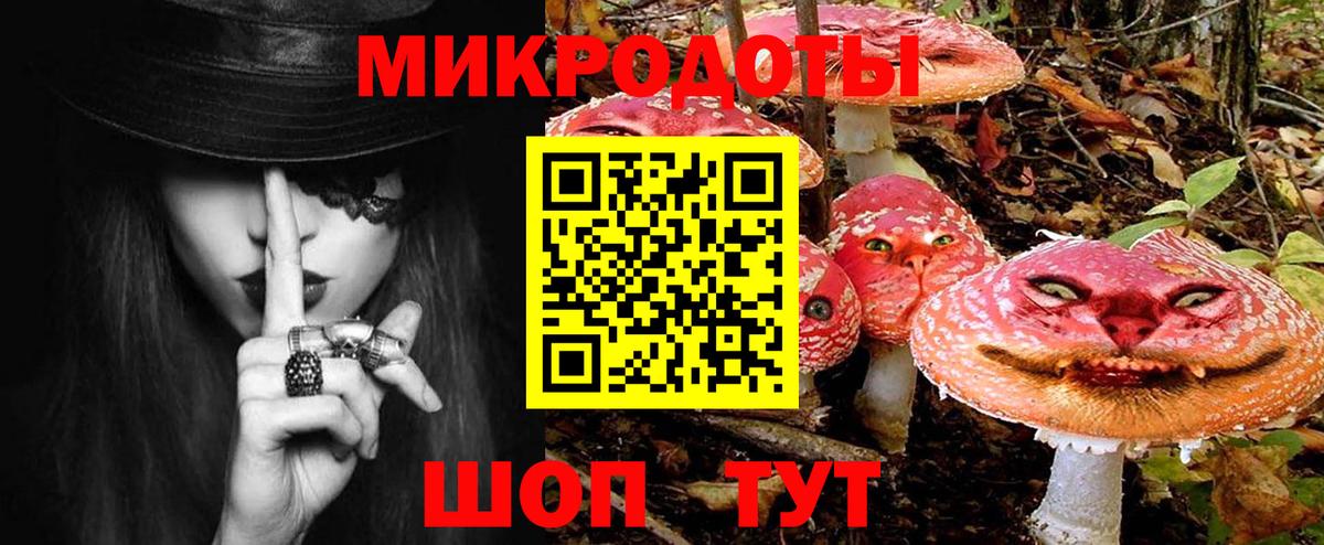 Галлюциногенные грибы ЛСД Великий Устюг