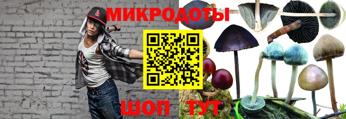 Великий Устюг  Галлюциногенные грибы прущие грибы  Вход с VPN 