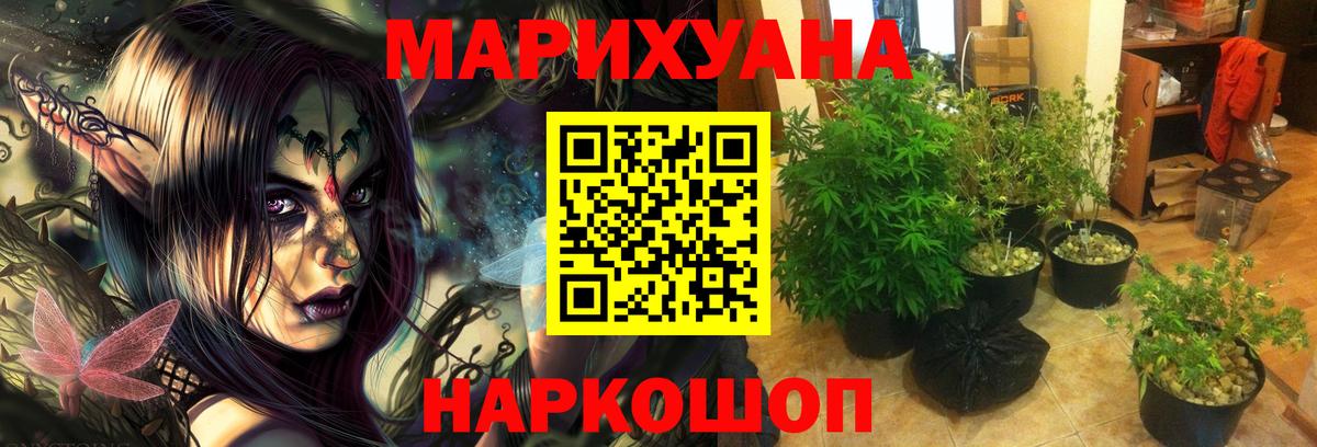 Великий Устюг  Бошки Шишки AK-47  Бошки Шишки гибрид  Шишки марихуана MAZAR  МАРИХУАНА VHQ  Вход с VPN 